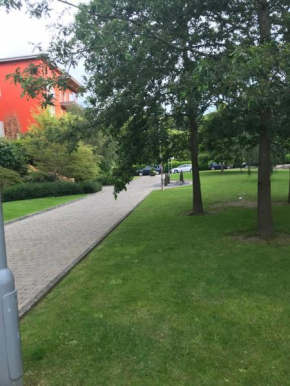 2 bedroom Apartment near magical Phoenix Park